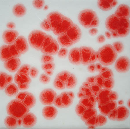 FLG-541 Red Crystals 6/16 Mesh