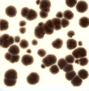 FLG-494 Dark Brown Crystals 6/16/Mesh