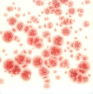 FLG-496 Crimson Red Crystals 6/20 Mesh